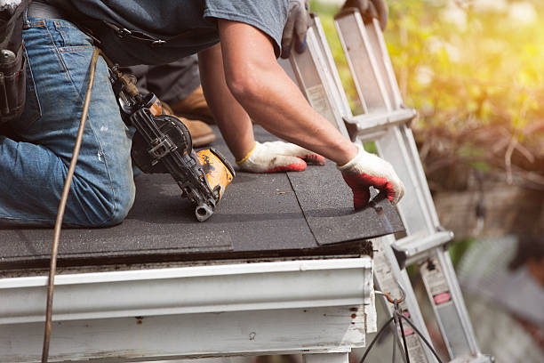 Best Roof Gutter Cleaning  in St Francisville, LA